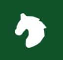 pferde_logo